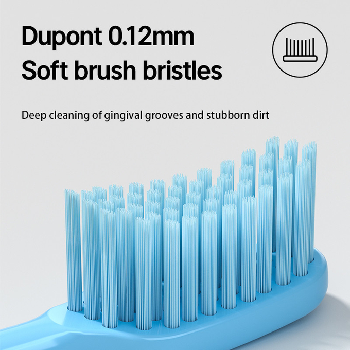 Spazzolino da denti elettrico per adulti all'ingrosso DuPont setole morbida a batteria impermeabile 1